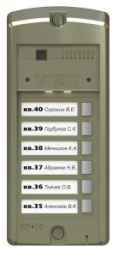 BS-306-6 панель  предназначена для совместной работы с блоком вызова БВД-306