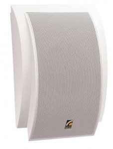 SWS-10 (Roxton) настенный громкоговоритель