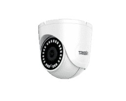 TR-D8121IR2 v6 2.8 - IP-камера